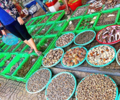Khu chợ hải sản rẻ bậc nhất Vũng Tàu, là tín đồ ẩm thực không thể nào bỏ qua!