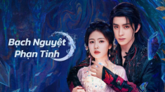 List phim bộ dành nằm nhà xem xuyên Tết 2025: Phim của Triệu Lộ Tư được thích tại VN, thư ký của “phú bà” lọt top