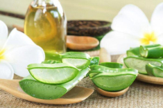 Loại cây tưởng là “thần dược” làm đẹp lại có thể phá nát khuôn mặt nếu phạm phải những điều này?