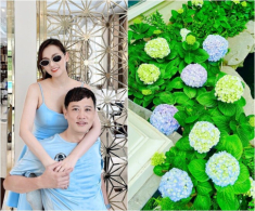 Loài hoa đặc biệt làm “sao nữ giàu nhất miền Bắc” mê mẩn, trồng khắp biệt thự hàng chục tỷ