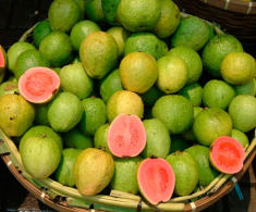 Loại quả xưa không ai ngó ngàng, giờ thành đặc sản có mùi thơm đặc biệt, dân thành phố săn lùng