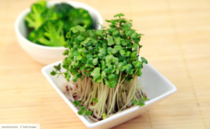 Loại rau “bé hạt tiêu” phụ nữ Nhật rất mê, có khả năng giúp chống lão hóa 72 tiếng, ăn 1 nắm để da sáng - eo thon