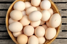 Loại trứng quý như nhân sâm giúp bé thông minh, dinh dưỡng cao gấp 4 lần trứng gà, giá chỉ 500 đồng/quả