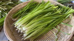 “Lộc trời ban” xưa chỉ bỏ đi, giờ thành đặc sản, bán giá “cắt cổ” vẫn có ào ạt người mua