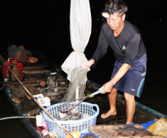 Mách bạn khu chợ cá ít người biết ở Đồng Nai: Cá tươi rói, chợ phải di chuyển liên tục vì một lý do