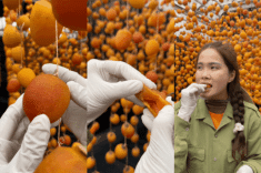 “Mê mẩn” công thức món ngọt mới lạ từ hồng treo gió Đà Lạt