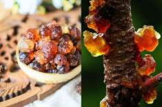 Món ăn được ví là “tổ yến của người nghèo”, giúp da đẹp từ gốc, tốt như đắp 30 chiếc mặt nạ liệu có thật?