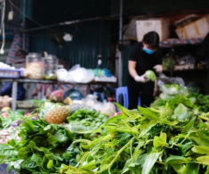 Ngôi chợ lớn nhất tỉnh Bình Phước, lúc nào cũng sầm uất nhờ vị trí đặc biệt