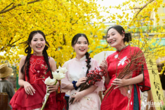 Nô nức check-in nhà sàn, vườn mai vàng rực ở trung tâm TPHCM
