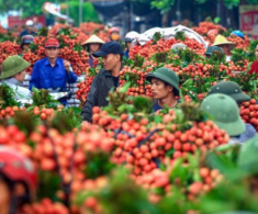 Ở Bắc Giang có một khu chợ chỉ đông đúc 1 mùa trong năm, đẹp như tranh vẽ, bán loại đặc sản “vạn người mê”