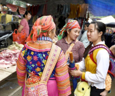 Phiên chợ chỉ họp duy nhất một lần vào thứ 7 ở Tuyên Quang, phải đi bộ hàng giờ để đến đây mua sắm