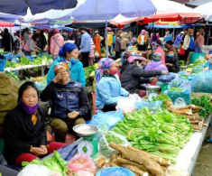 Phiên chợ độc nhất ở Lào Cao nằm giữa lưng trời, bán toàn đồ lạ khó nơi nào có