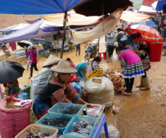 Phiên chợ lạ hút khách Tây bậc nhất Lào Cai, ai đến cũng mê mẩn vì một dịch vụ độc đáo