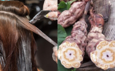 Sử dụng sản phẩm này trước khi nhuộm tóc, thợ làm đầu không dám nhận, cẩn thận tóc rụng như mưa