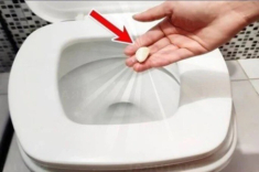 Tại sao ban đêm nên bỏ 1 tép tỏi vào bồn cầu? Biết lý do tôi liền học theo