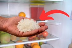 Tại sao nhiều người đặt một bát muối trong tủ lạnh? Biết lý do tôi liền học theo