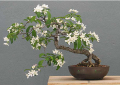 Tháng 6 nhuận là thời gian được “tặng thêm”, tận dụng làm vài việc đơn giản sau để đón tháng ‘cô hồn’ được cát lành
