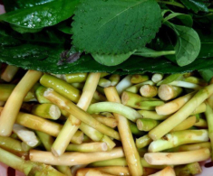 Thứ “lộc trời ban” xưa dân nghèo dùng để “chống đói” nay lại thành đặc sản, dân sành ăn mới biết cách chế biến