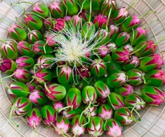 Thứ mọc dại xưa rụng đầy không ai biết đến, nay thành đặc sản nổi tiếng ở thành phố, hương vị đặc biệt