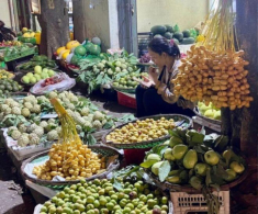 Thứ quả “nhà giàu” nay ngập tràn đường phố Hà Nội: Người ăn thấy mê người chê chưa đủ xuất sắc