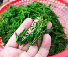 Thứ rau “ăn sương hít khí trời” xưa rẻ bèo không ai mua, nay thành đặc sản người thành phố lùng tìm