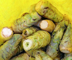 Thứ tưởng vứt đi lại thành một đặc sản mang đậm hơi thở miền Tây, là thức quà quý giá từ lòng đất