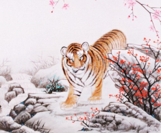 Tử vi tuần mới 28/7-3/8: Dần làm gì cũng thuận, Mão có quý nhân dẫn đường