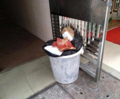 Tuyệt đối đừng đặt những thứ này trước cửa nhà kẻo chắn đường Thần Tài, gây hại sức khỏe