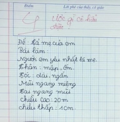 Viết văn tả về người mẹ “không có thật”, cậu bé lớp 2 bị cô giáo chấm 4 điểm