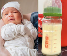 Võ Hạ Trâm rèn con ăn chay từ trong bụng, mẹ “sản xuất” cả bình sữa chay đầy ụ cho quý tử