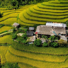 Bản Liền - điểm khởi đầu dịu dàng cho hành trình “chữa lành” quên phố thị, tìm về với bình yên