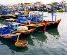 Chợ cá tồn tại mấy trăm năm giữa lòng Phan Thiết, là một trong những nơi bán hải sản ngon-bổ-rẻ bậc nhất
