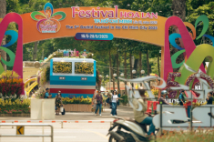 Đặc sắc không gian Festival Hoa Lan TPHCM