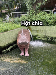 Dàn “idol giới trẻ” với những cái tên độc lạ ở Thảo Cầm Viên