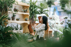 Gen Z tìm về những thú chơi thời ông bà