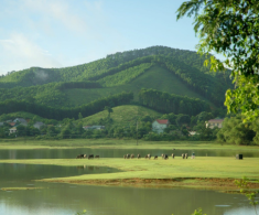 Khám phá vùng đất hữu tình tại “quê vua đất chúa”, được ví Vịnh Hạ Long trên cạn, sở hữu cây cổ thụ quý báu gần 700 tuổi