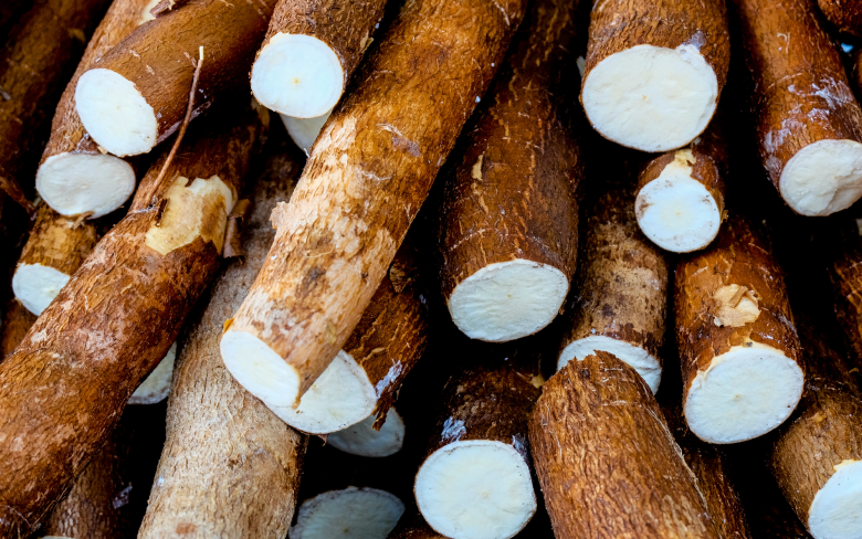 Loại củ rẻ như cho xưa để dân nghèo “chống đói”, nay được chế biến thành nhiều món ngon nức tiếng đặc sản nhiều nơi