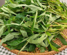 Loại rau xưa chỉ cho lợn ăn nay thành đặc sản Phú Thọ, thử một lần là nhớ da diết vì hương vị cực độc đáo