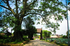 Ngôi làng mát lạnh như điều hòa ở Cao Bằng là “thiên đường trốn nắng”, ở ngay sát tuyệt tác thiên nhiên thuộc top đầu thế giới