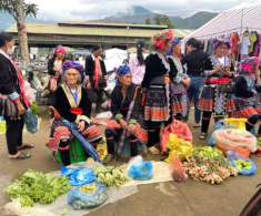 Về Lai Châu ghé một trong những phiên chợ lớn và nổi tiếng nhất vùng, chuyên bán đồ rừng núi hiếm nơi khác có