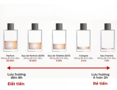 Xịt mãi không thơm, đây là 4 kiến thức giúp chị em “xóa mù” nước hoa