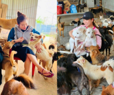 2 sao nữ Vbiz cưu mang chó mèo hoang: Người xây trang trại 1000m2 làm nơi ở, người mang đầy vết thương 
