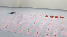 Ai đứng tên 80 sổ đỏ của Ngân 98?