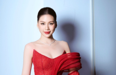 Khởi tố vụ án Hoa hậu Bùi Quỳnh Hoa bị vu khống