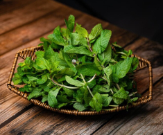 Loại lá gia vị nhỏ xíu có khả năng chống rụng tóc mạnh mẽ, dưỡng chân tóc chắc khỏe, khiến gàu lâu năm cũng biến mất