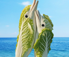 Trắc nghiệm: Bạn nhìn thấy gì đầu tiên? Đáp án tiết lộ bạn lấy chồng là để hưởng phúc hay chịu khổ!