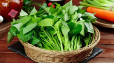 Việt Nam có loại rau dân dã, ăn một bữa hiệu quả như uống thuốc giảm cân, giúp chị em da trắng nõn nã