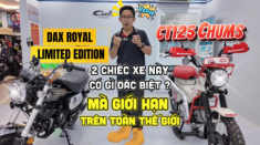 [Video] Soi chi tiết bộ đôi PHIÊN BẢN GIỚI HẠN của Honda vừa cập bến về Việt Nam có gì thú vị?